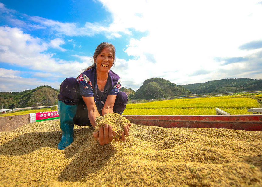 2021��9��29�գ����F��ʡ�����������οh�µ�悶�ƺ�壬�r�����ի@���������ʌW�z