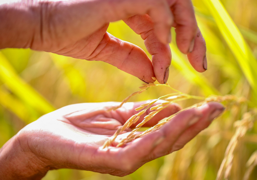 2021��9��29�գ����F��ʡ�����������οh�µ�悶�ƺ�壬�r���ڲ鿴�����w���� ���ʌW�z