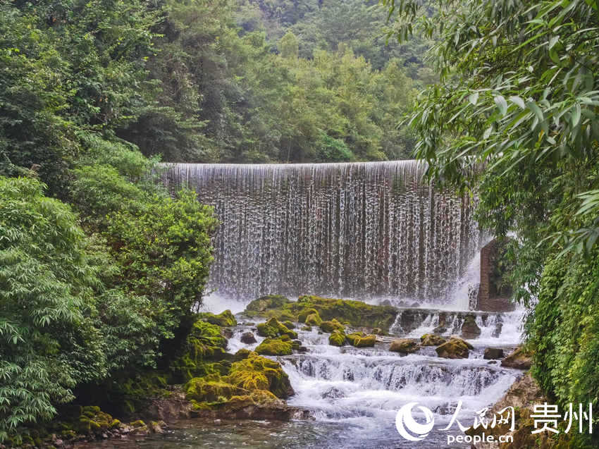 貴州荔波小七孔景區(qū)。人民網(wǎng) 陳晶晶攝