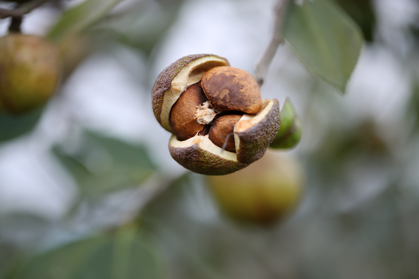 ����M���Ͳ�������ʌW�z