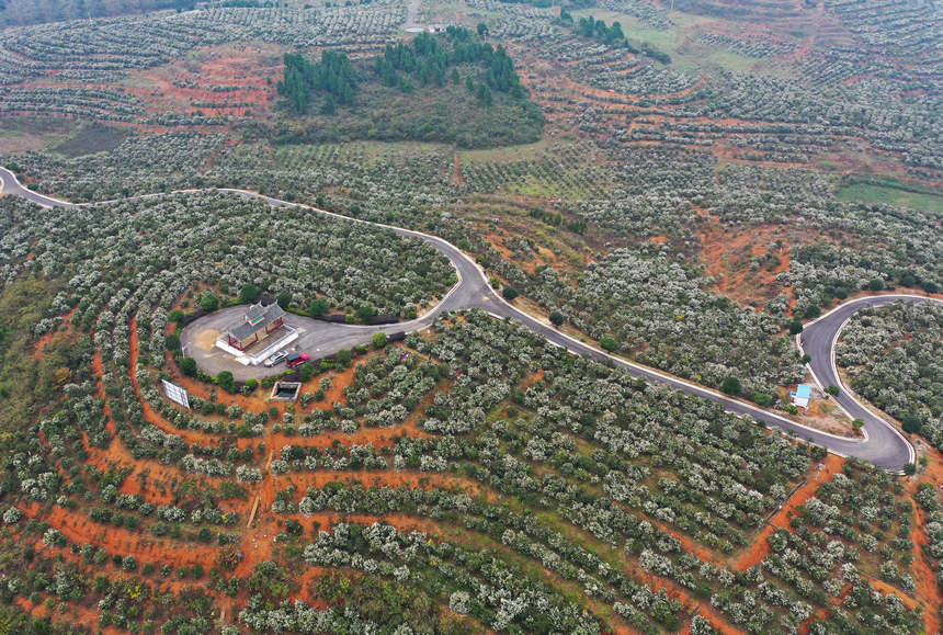 �����Ͳ���ء����ʌW�z