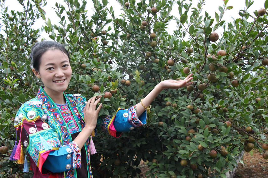 ���۴T�������ʌW�z