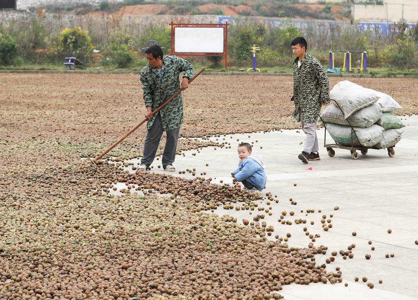 �����Ͳ�������ʌW�z