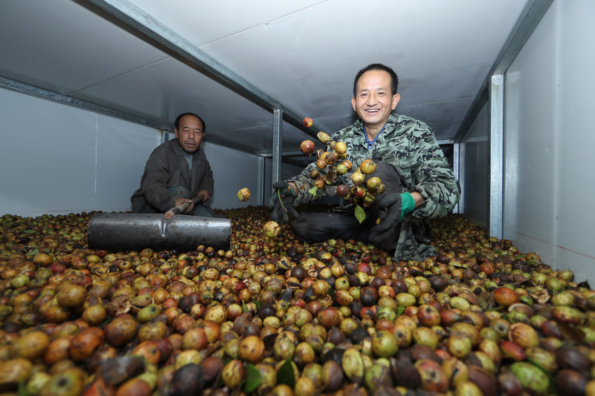 �Ͳ��S�ա����ʌW�z