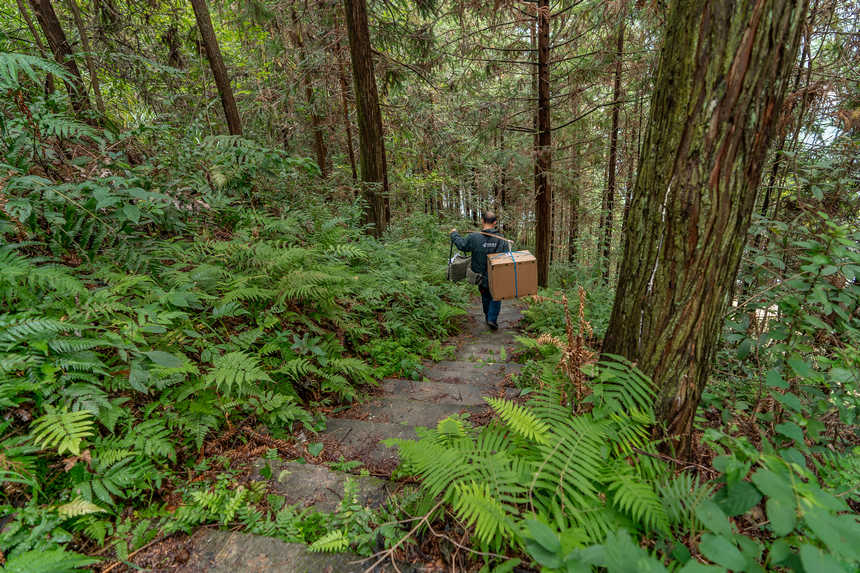 ���ֲ���������ǰ��݆�ɴa�^������݆���^�����͡�����W Ϳ���z