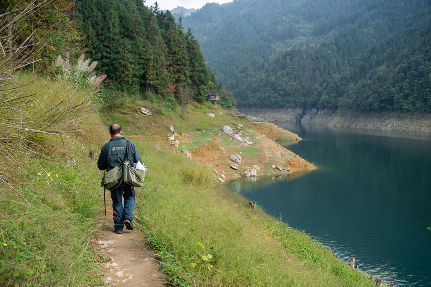 ���ֲ��������Ͱ���������W Ϳ���z