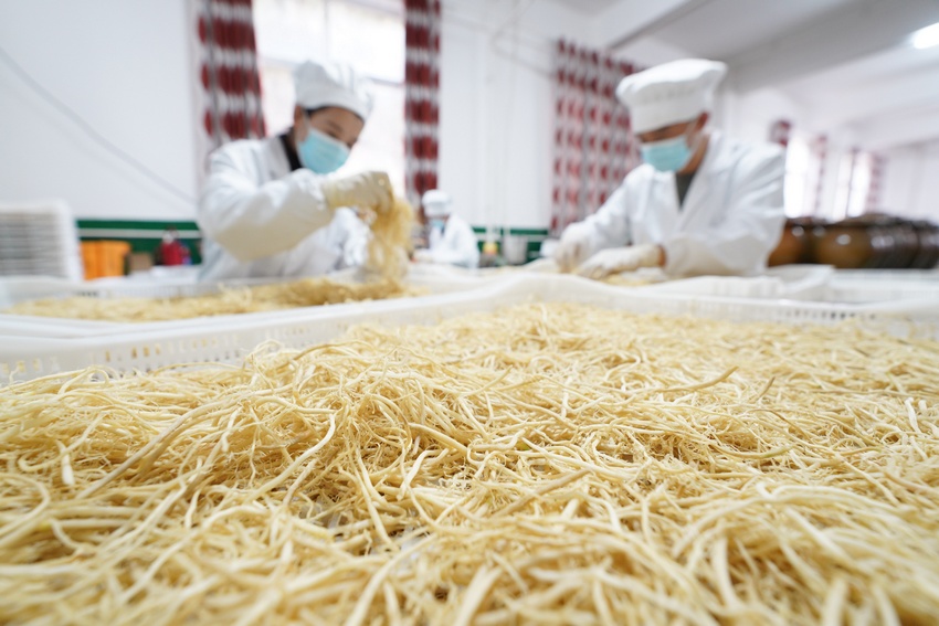 11��5�գ����F��ʡ��կ�h��Ȫ��Rկ��Ϫ�־²˸��ӹ��S������֣��ң��͹����ڷ֒��Ѻ�ɵľ²˸���