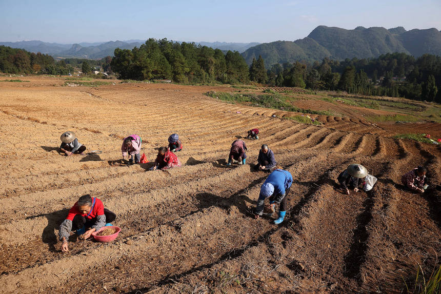 11��18�գ��������F��ʡ��կ�h�d��悼��_������̫�Ӆ���