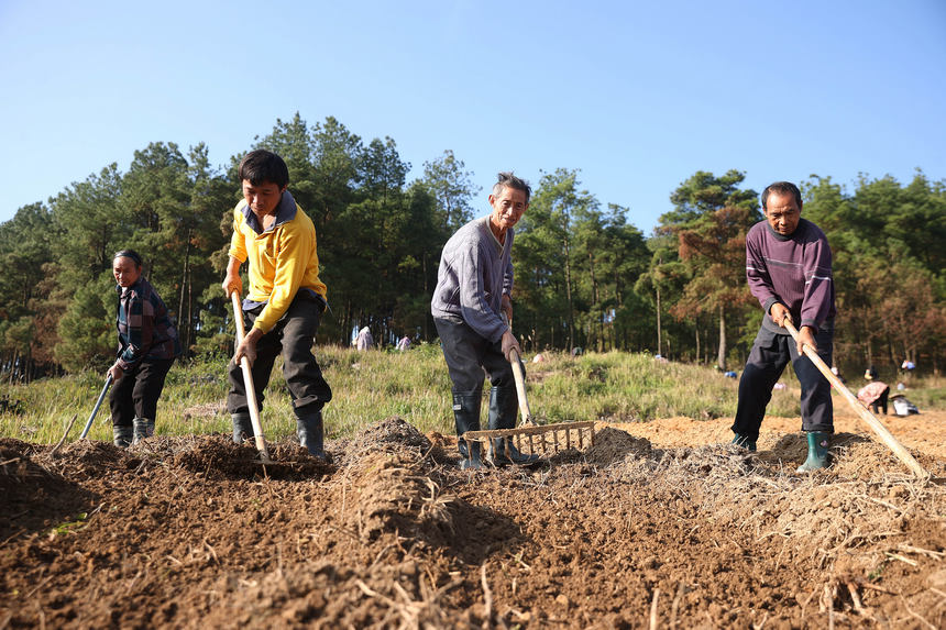 11��18�գ��������F��ʡ��կ�h�d��悼��_���������ء�