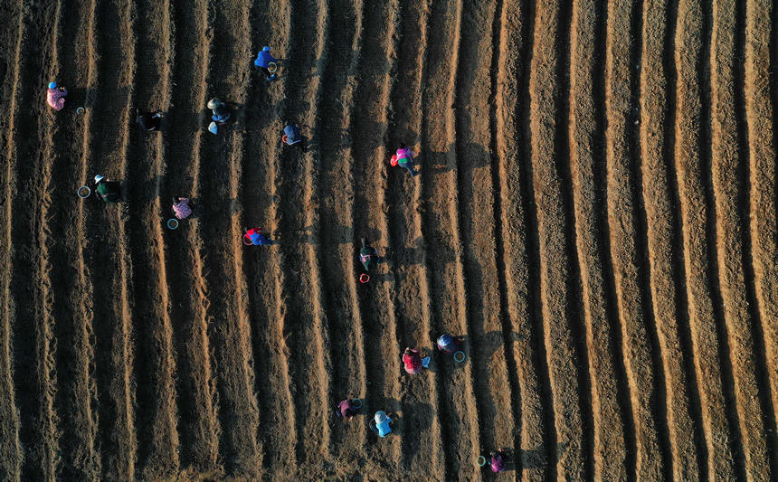 11��18�գ��������F��ʡ��կ�h�d��悼��_������̫�Ӆ����o�˙C��Ƭ����