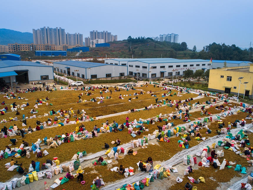 �����h�׵��������c(di��n)����Դ�Ͳ�ӹ��S����^(q��)�����ڒ��x�Ͳ����