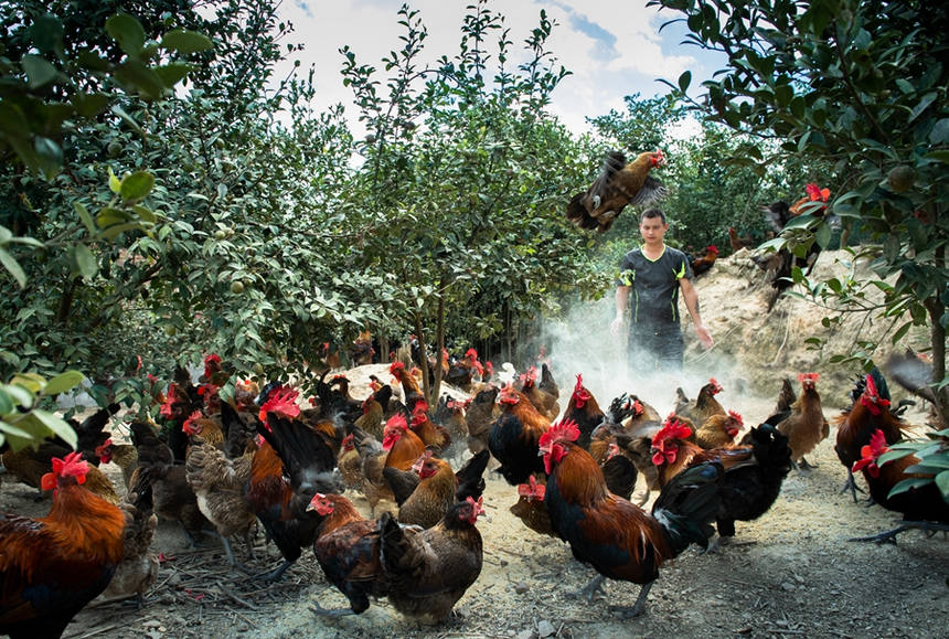 �����h�Y����������Ͳ���أ��Bֳ����ι�B���Ͳ��u����