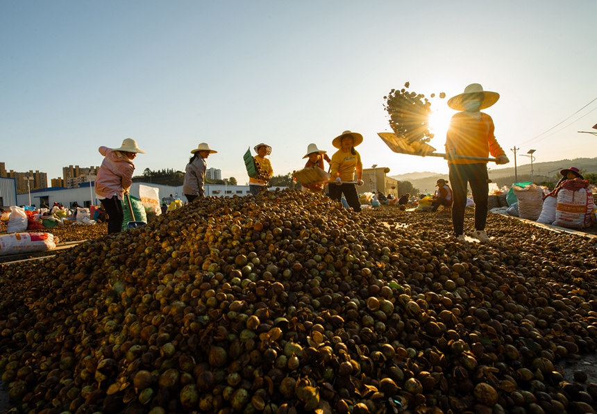 �����h�׵��������c����Դ�Ͳ�ӹ��S�������ڷ����Ͳ���� 