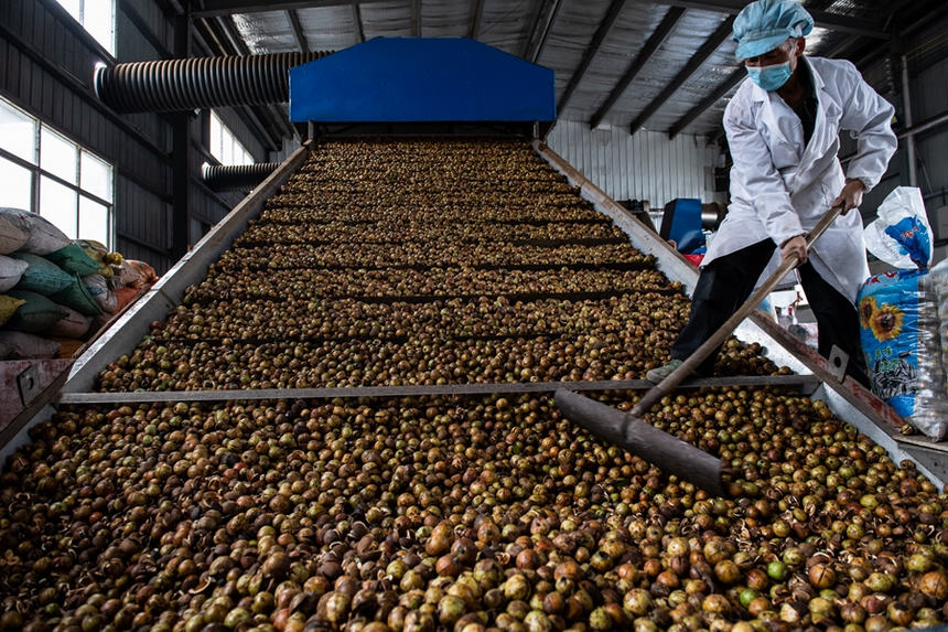 �����h�׵��������c�������d�Ͳ�ӹ��S�������ں���Ͳ���� 