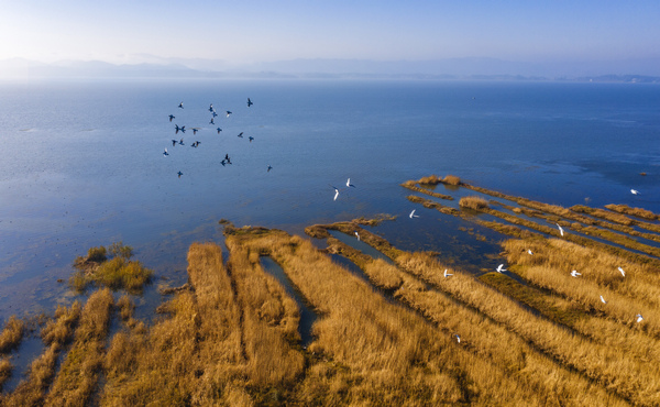 2020��12��9�ղݺ��L��ˮ���L���^��ˮ���B�� �������z �F��ʡˮ���d���D