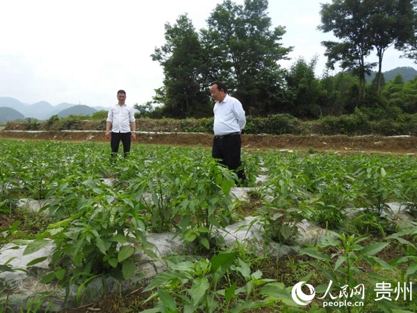 新蒲何忠義：躬耕三臺“美如畫” 0集體經(jīng)濟(jì)變700萬元7月1日，貴州省2020年脫貧攻堅(jiān)“七一”表彰大會(huì)，遵義市新蒲新區(qū)蝦子鎮(zhèn)三臺村黨組織書記何忠義作為全省優(yōu)秀先進(jìn)黨組織書記被表彰……