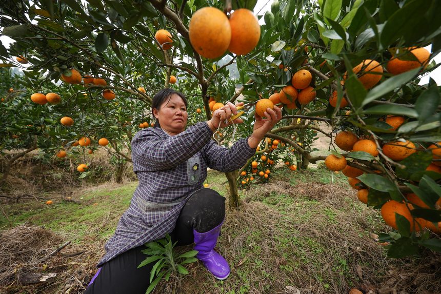 12��2�գ��������F��ʡ�����h����(zh��n)��Ӵ���@�ի@Ě�ȡ� 