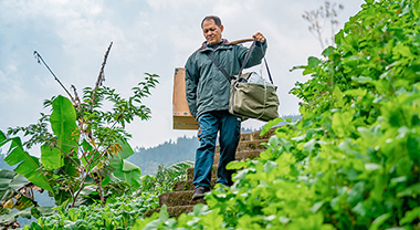 34���L��o�� һ���˵�ɽ���]·