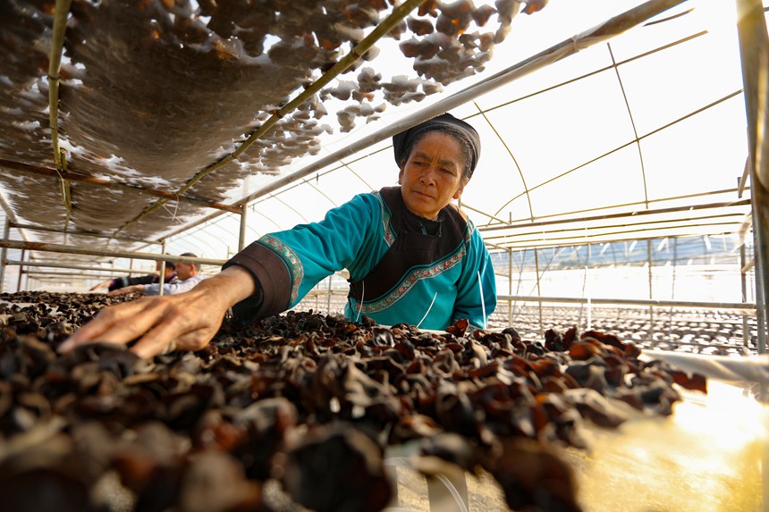 �F��������ľ���S�ա��f�s���z