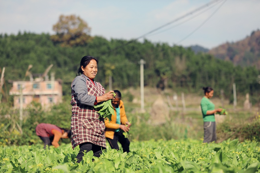 �F�������h�����ɘ����������gժ�ղ�޷���f�s���z