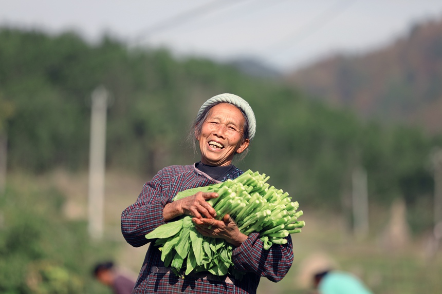 �F�������h�����ɘ����������gժ�ղ�޷���f�s���z