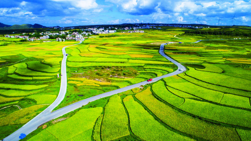 �F��л�Ϫ�^�����lͨ�幫·���ഺ�z