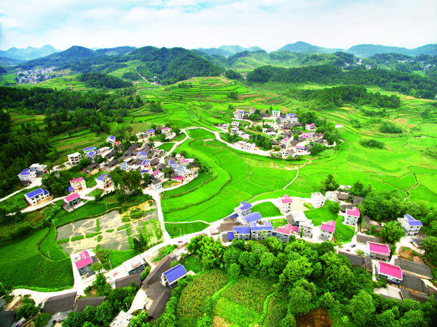 ������կ���r(n��ng)�幫·���ꐏ�(qi��ng)�z