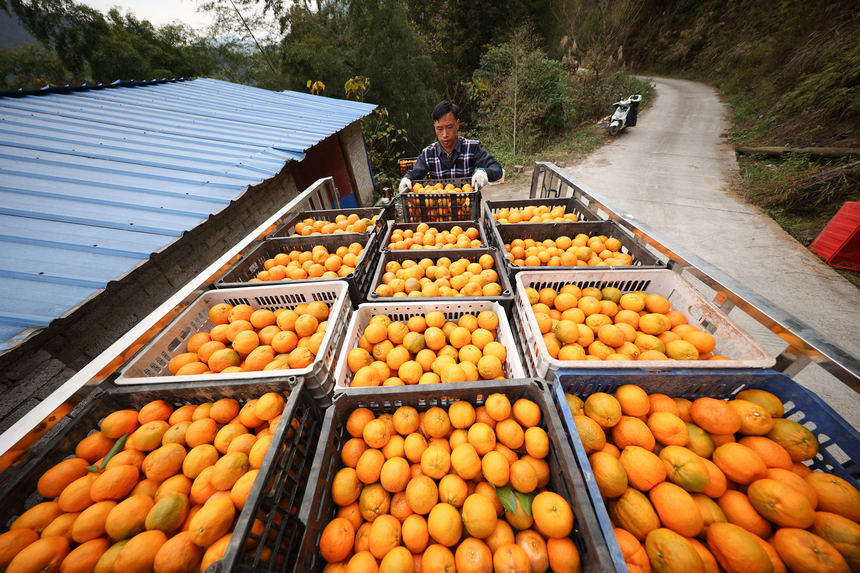 12��20�գ����F��ʡ��կ�h���{悷��ٴ�ո̷Nֲ���أ�����ф��ի@�ėո��b܇��