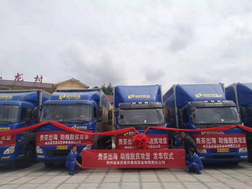 貴茶出海。 遵義市委宣傳部供圖