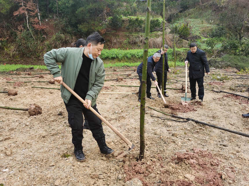 �F�ݸ���ֲ���ӬF����