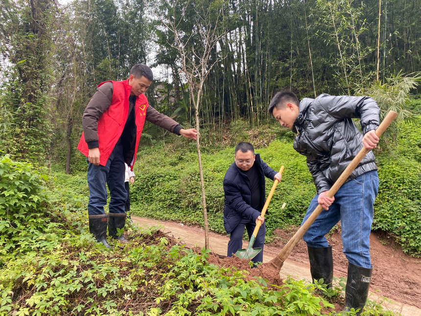 �F�ݸ���ֲ���ӬF����