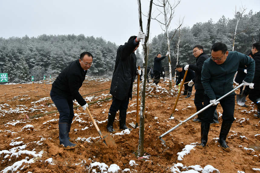 �F�ݸ���ֲ���ӬF(xi��n)����