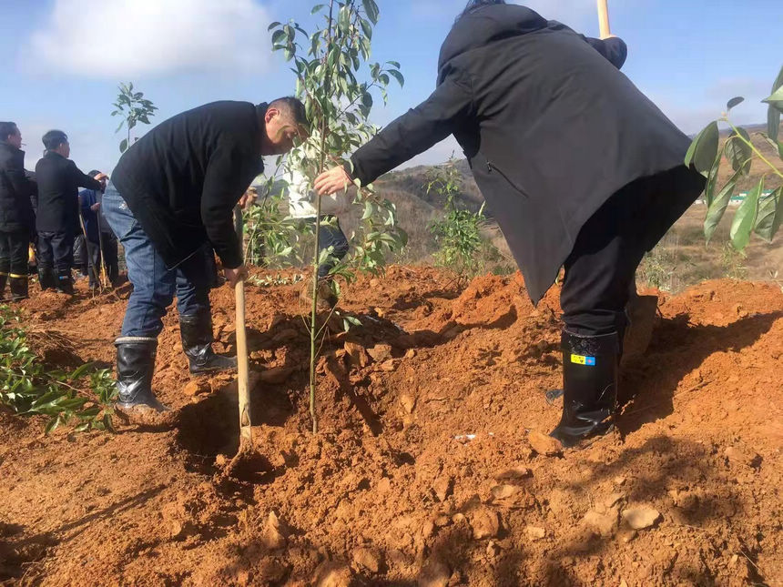 �F�ݸ���ֲ���ӬF(xi��n)����