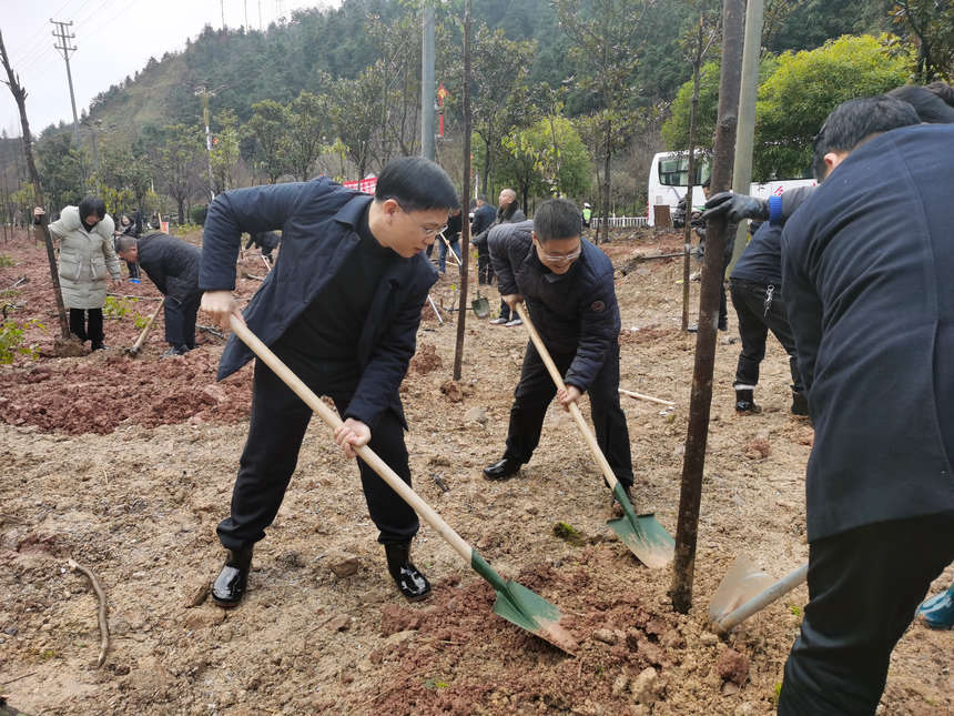 �F�ݸ���ֲ���ӬF����