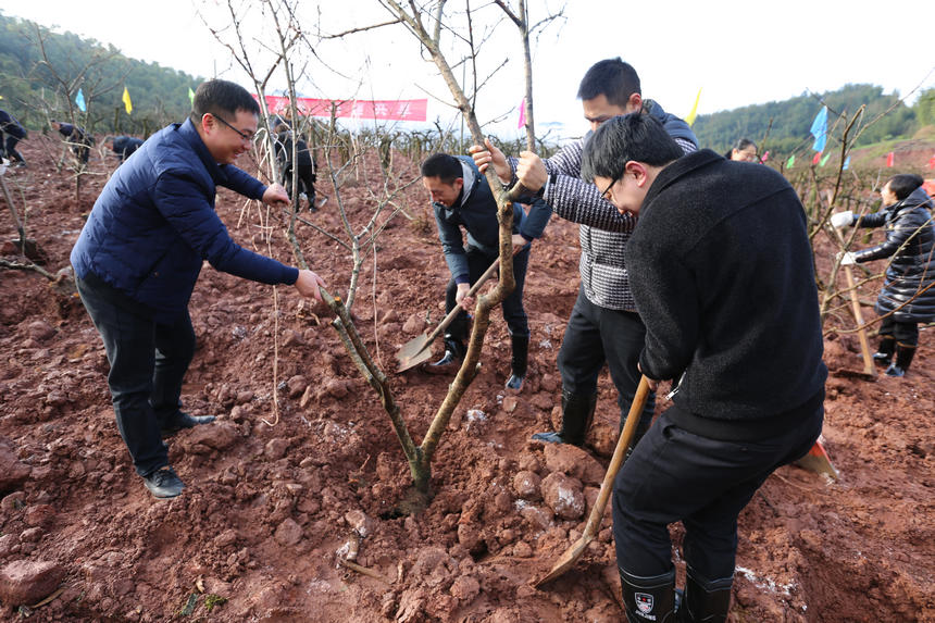 �F�ݸ���ֲ���ӬF����