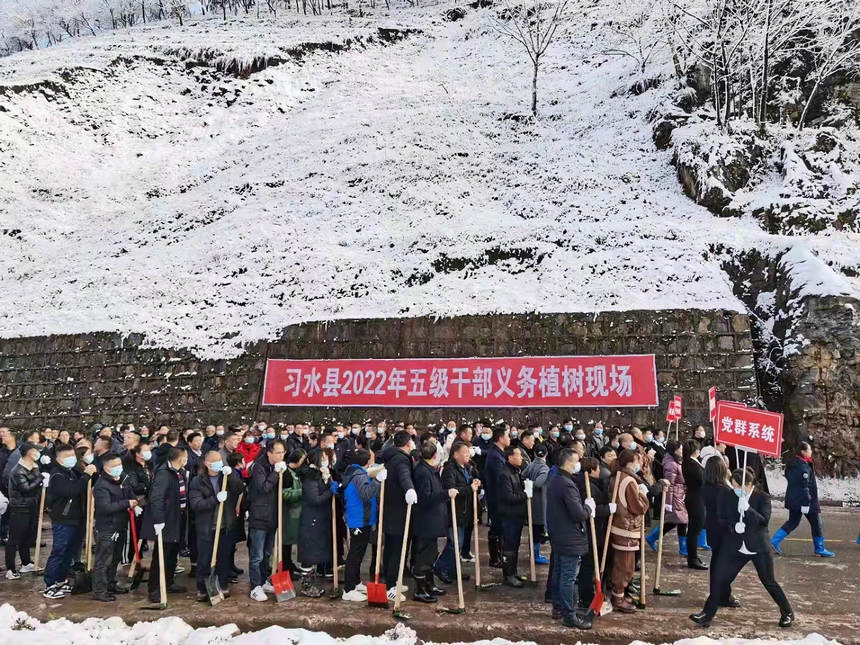 �F�ݸ���ֲ���ӬF����