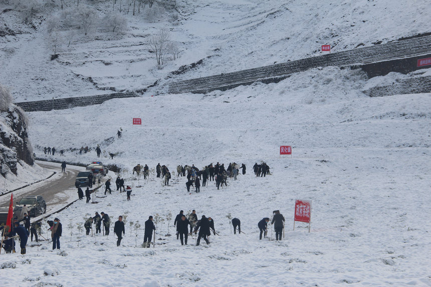 �F�ݸ���ֲ���ӬF����