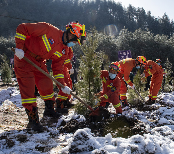 ֲ��F������W�єz