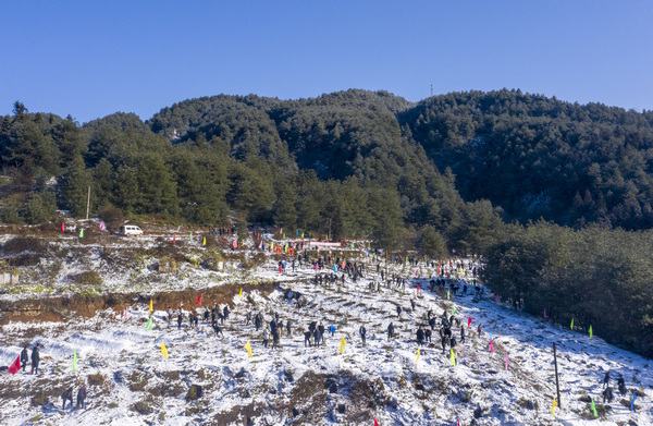 ֲ��F������W�єz