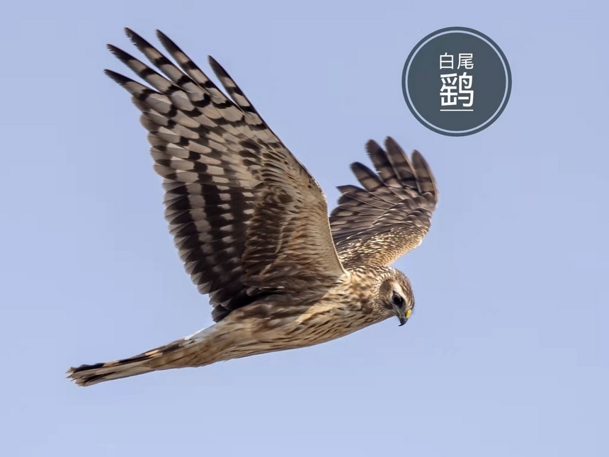 ��β�_����܎�z