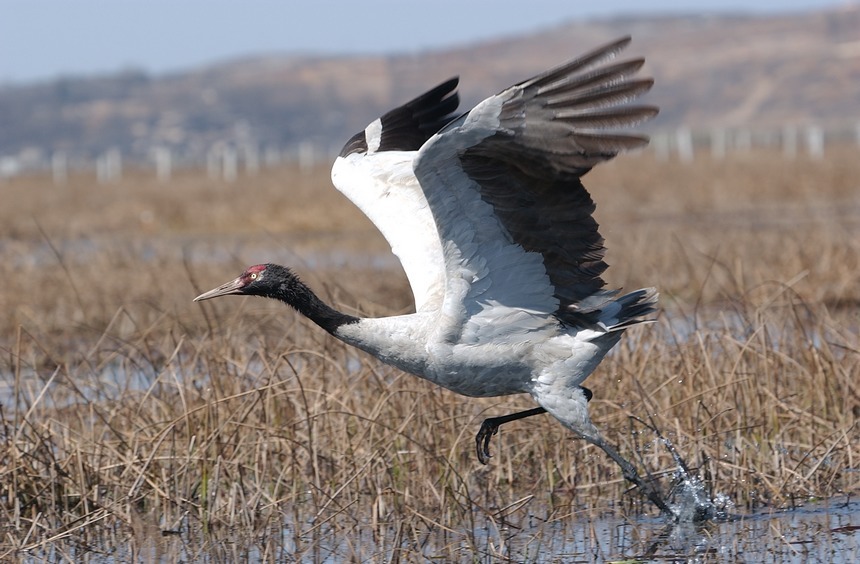 ���i�Q��ꐖ|���z