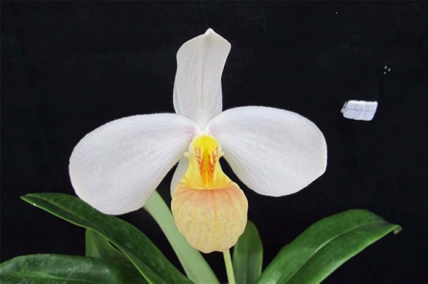 �׻����m��ꐖ|���z