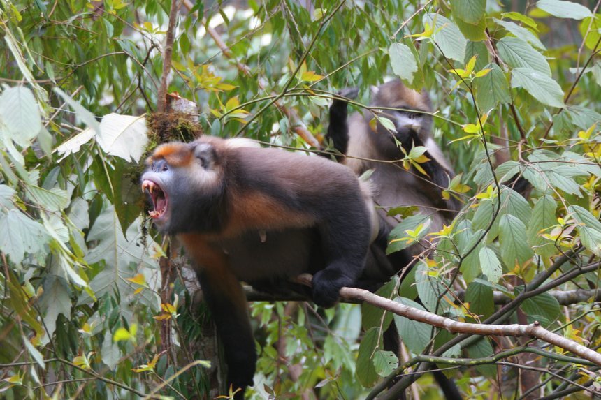 ǭ��z�ꐖ|���z