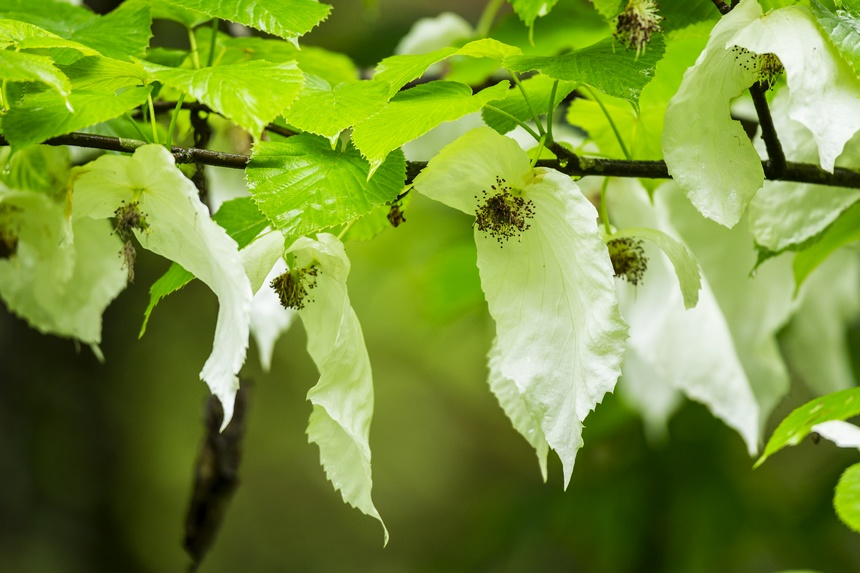 ��ͩ��ꐖ|���z