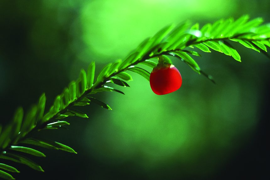 �t��ɼ��ꐖ|���z