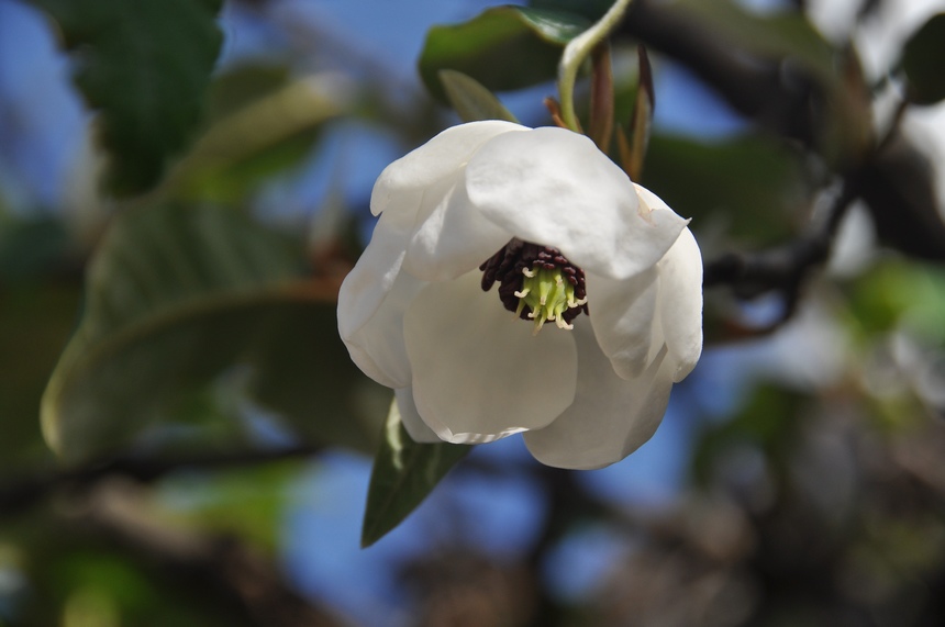 �������m�����Q�z