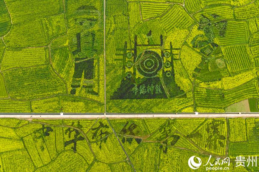 �����F���h����ѩɽ���Ͳ˻���������W Ϳ���z