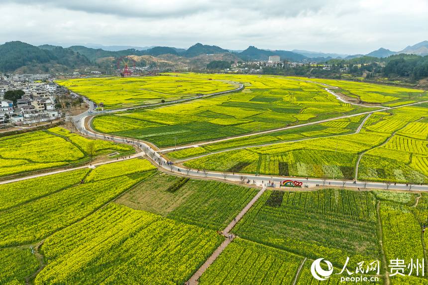 �����F���h����ѩɽ���Ͳ˻���������W Ϳ���z