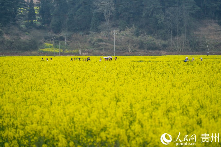 Ľ���������ο��ڻ������p����̤�ࡣ����W Ϳ���z