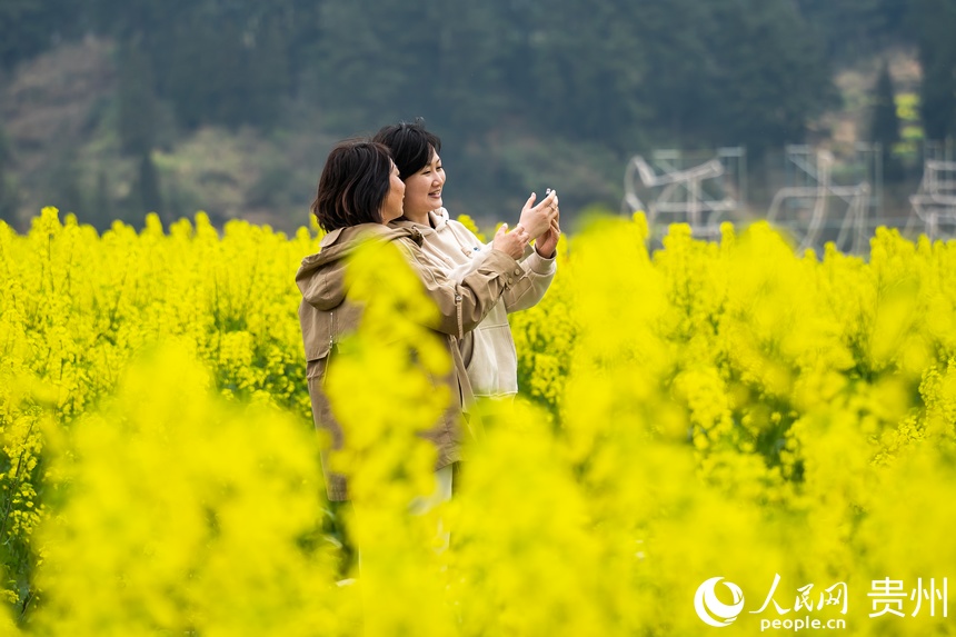 Ľ���������ο����F���h����ѩɽ���Ͳ˻������ա�����W Ϳ���z